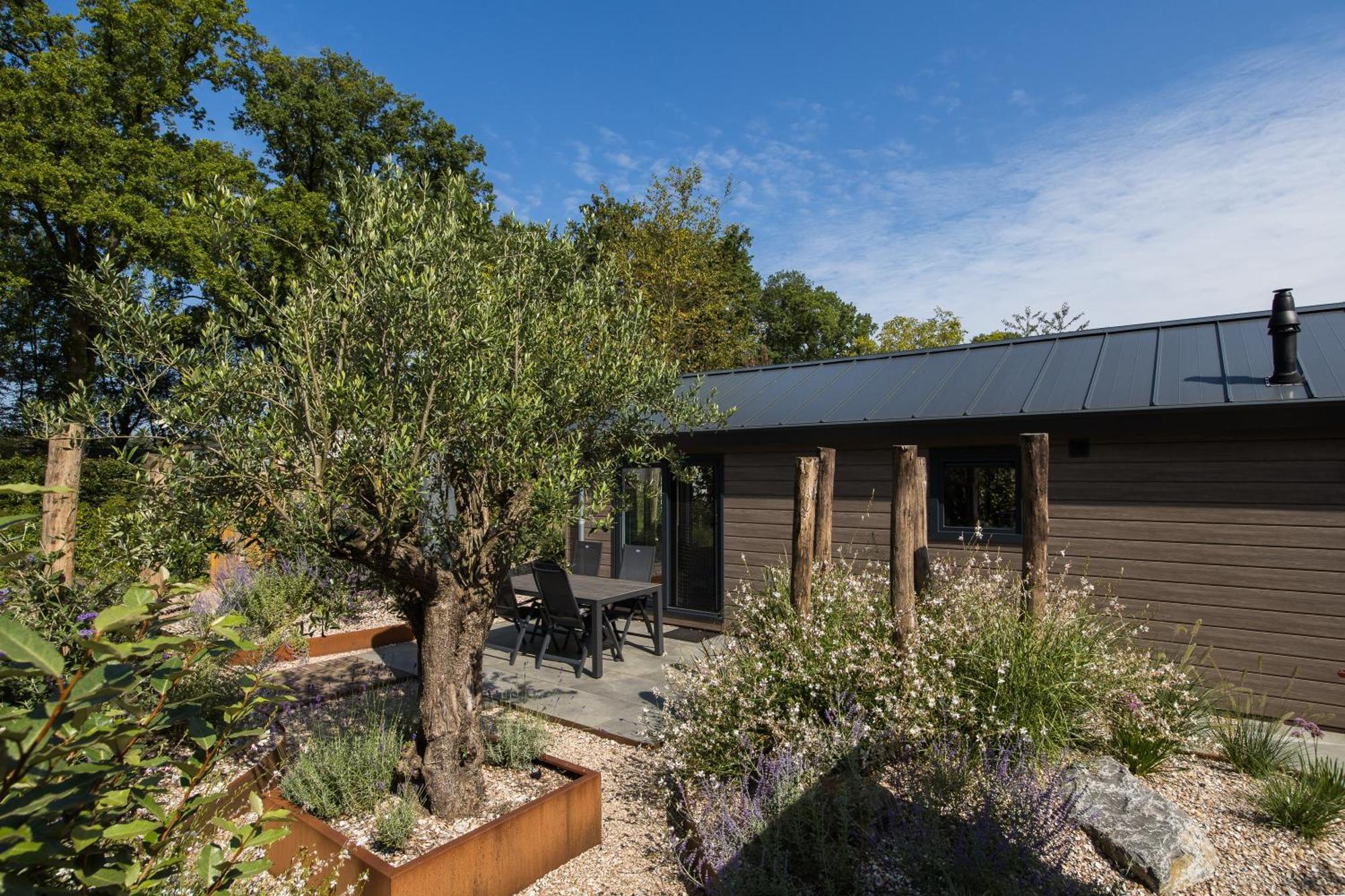 Modern Ingericht Chalet Op Groen Park Op De Veluwe Epe Εξωτερικό φωτογραφία