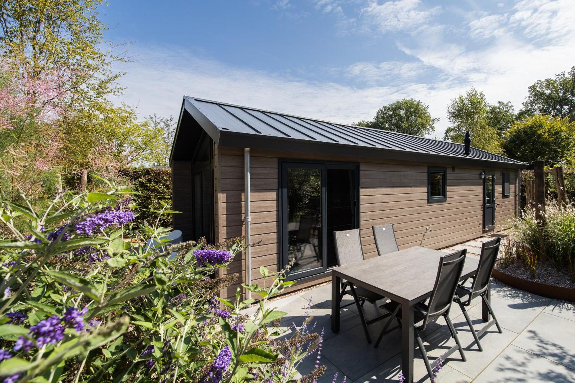 Modern Ingericht Chalet Op Groen Park Op De Veluwe Epe Εξωτερικό φωτογραφία