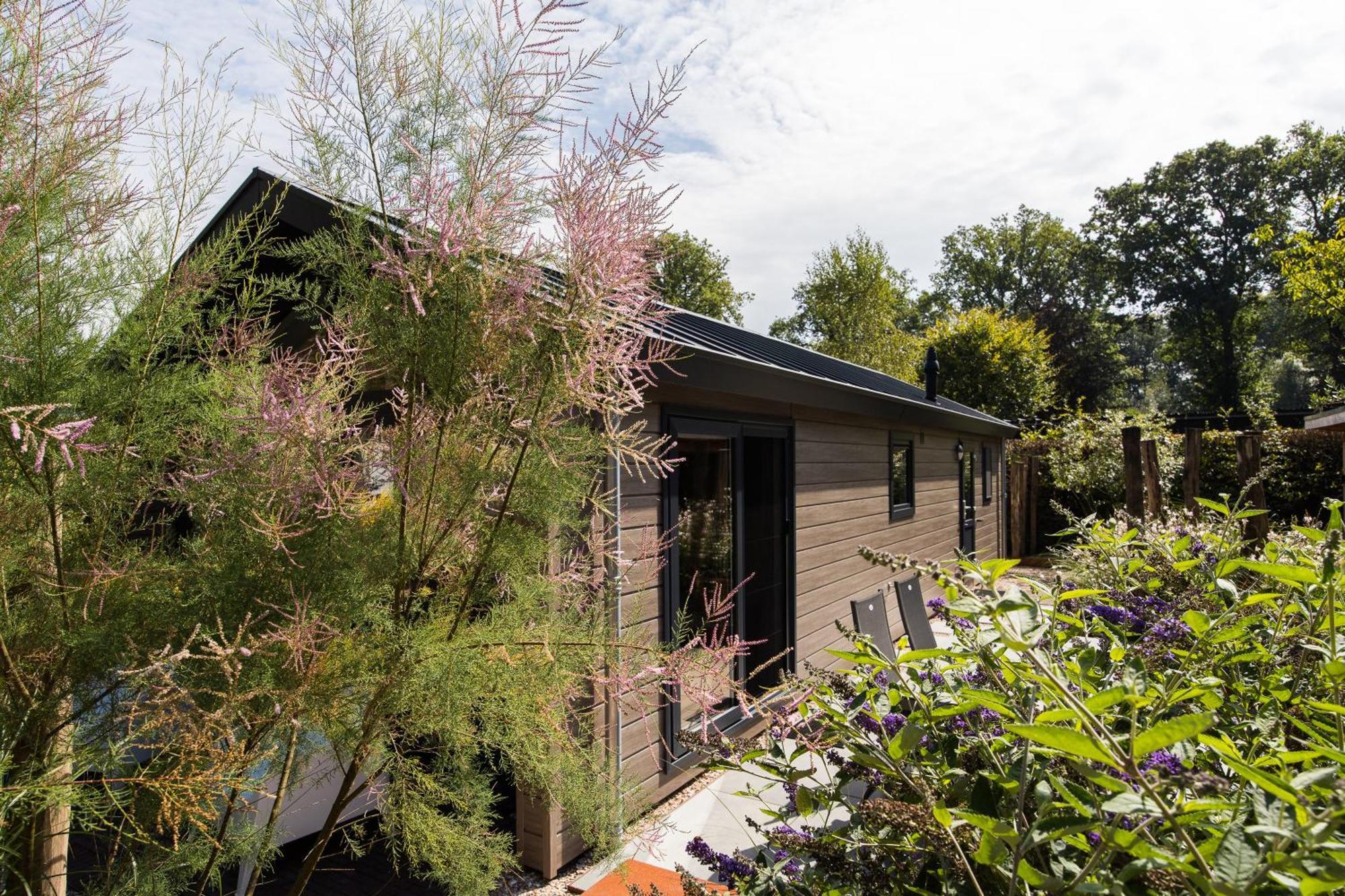 Modern Ingericht Chalet Op Groen Park Op De Veluwe Epe Εξωτερικό φωτογραφία