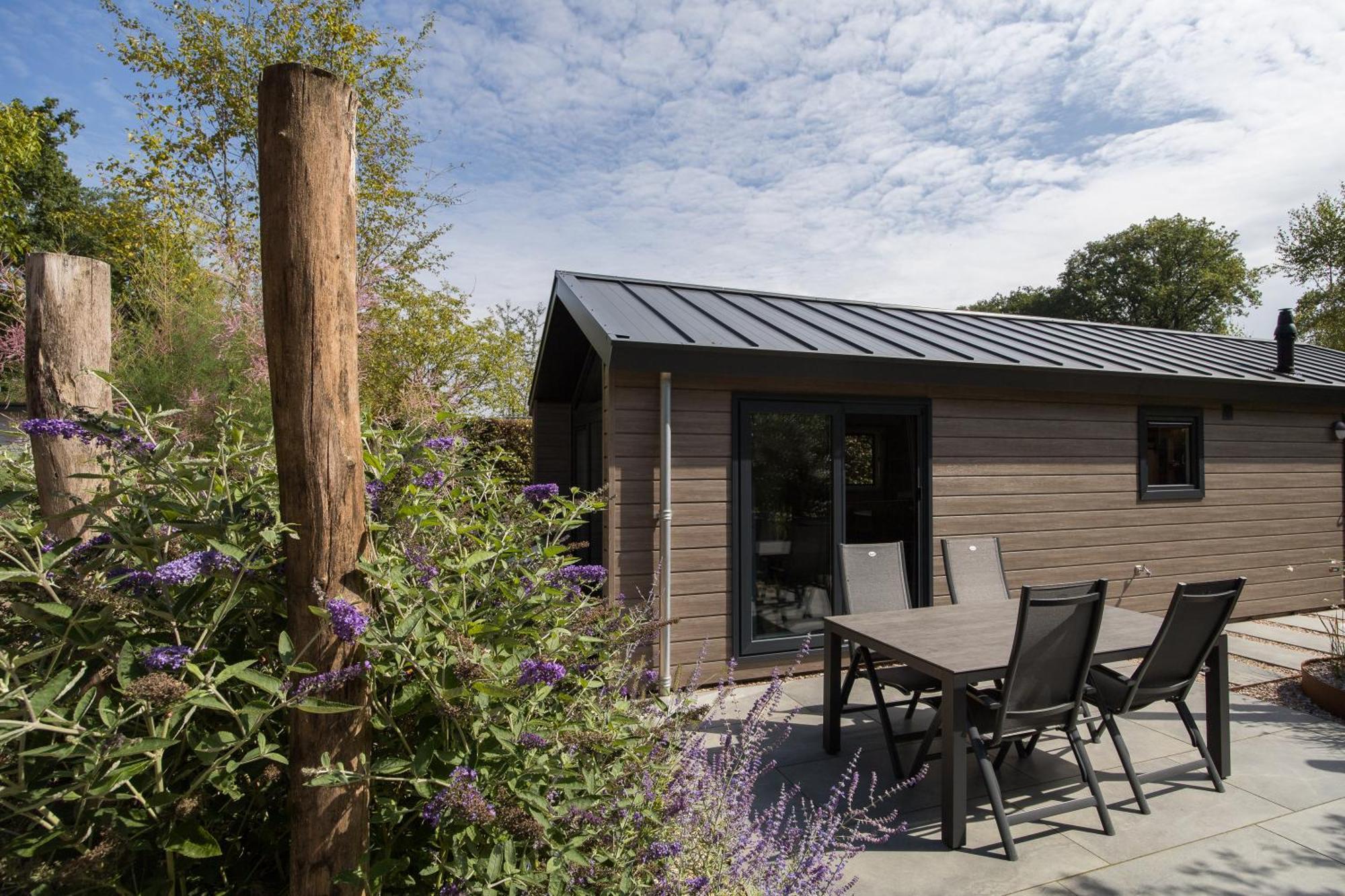 Modern Ingericht Chalet Op Groen Park Op De Veluwe Epe Εξωτερικό φωτογραφία